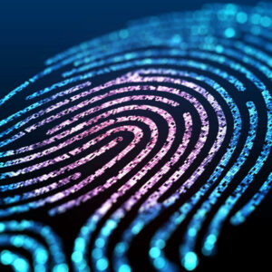 International Florida Fingerprinting